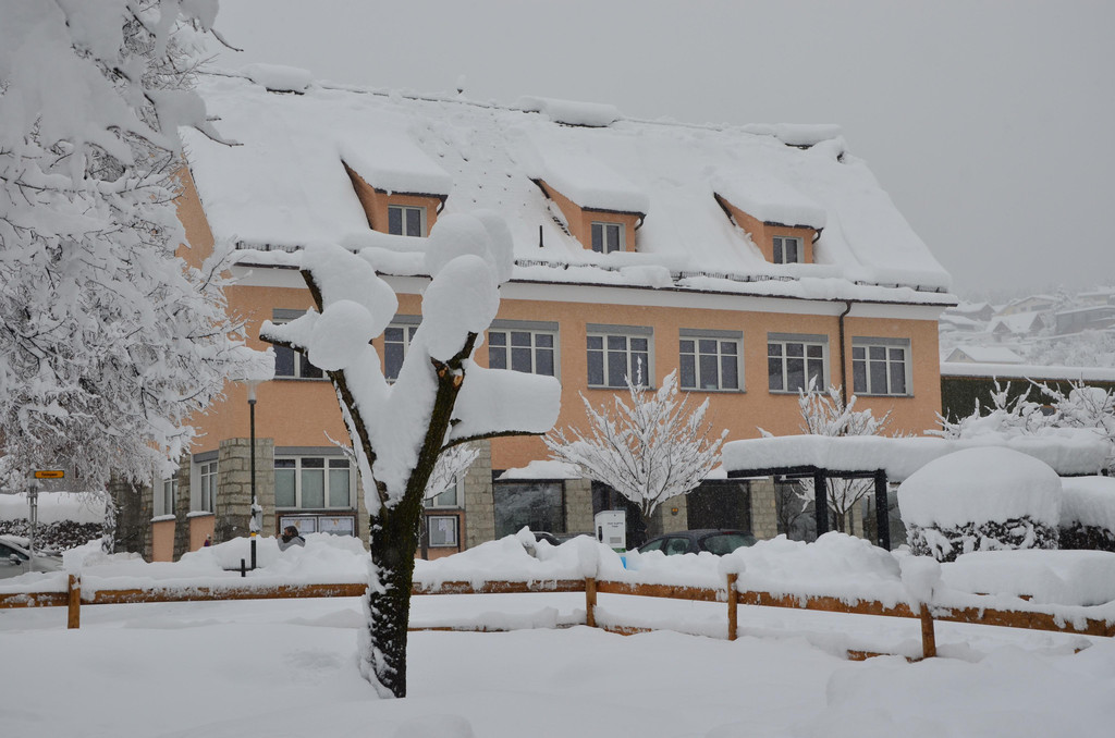Schneefall 150121_52.JPG