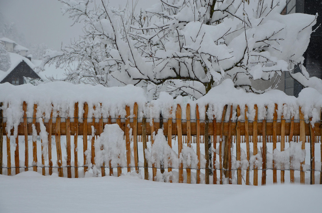 Schneefall 150121_55.JPG
