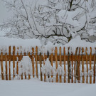 Schneefall 150121_55.JPG