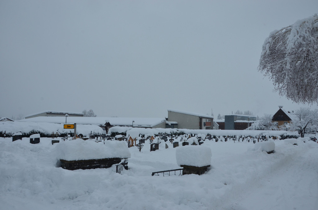 Schneefall 150121_57.JPG