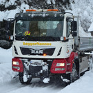 Schneefall 150121_58.JPG