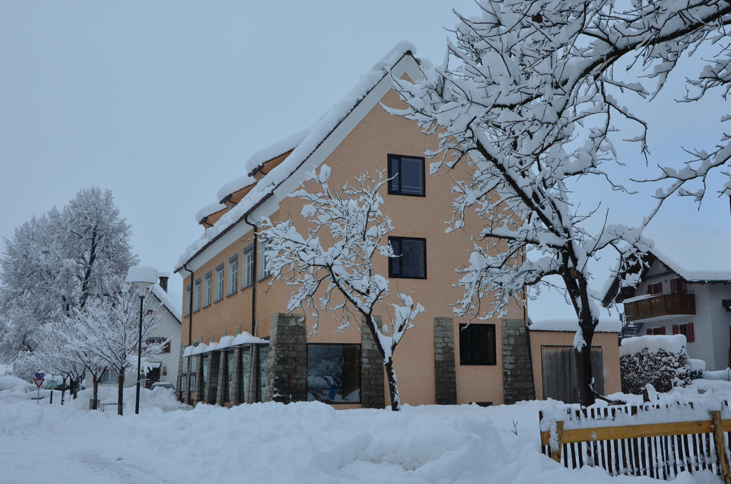 Schneefall 150121_60.JPG