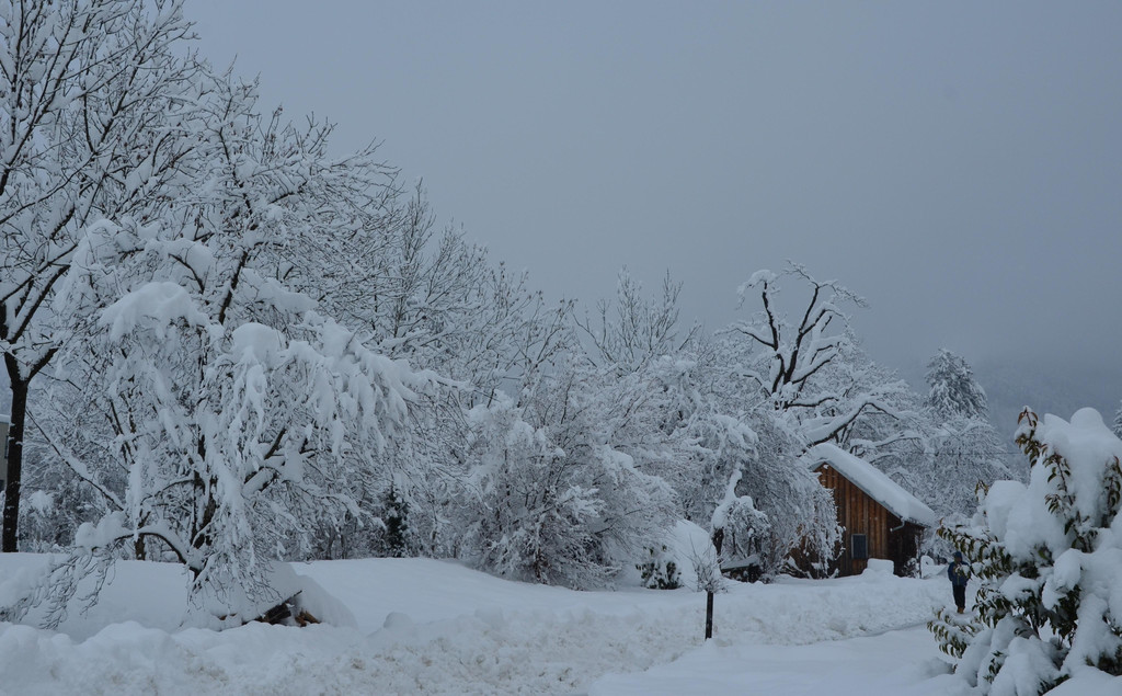 Schneefall 150121_61.JPG
