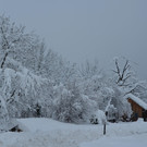Schneefall 150121_61.JPG