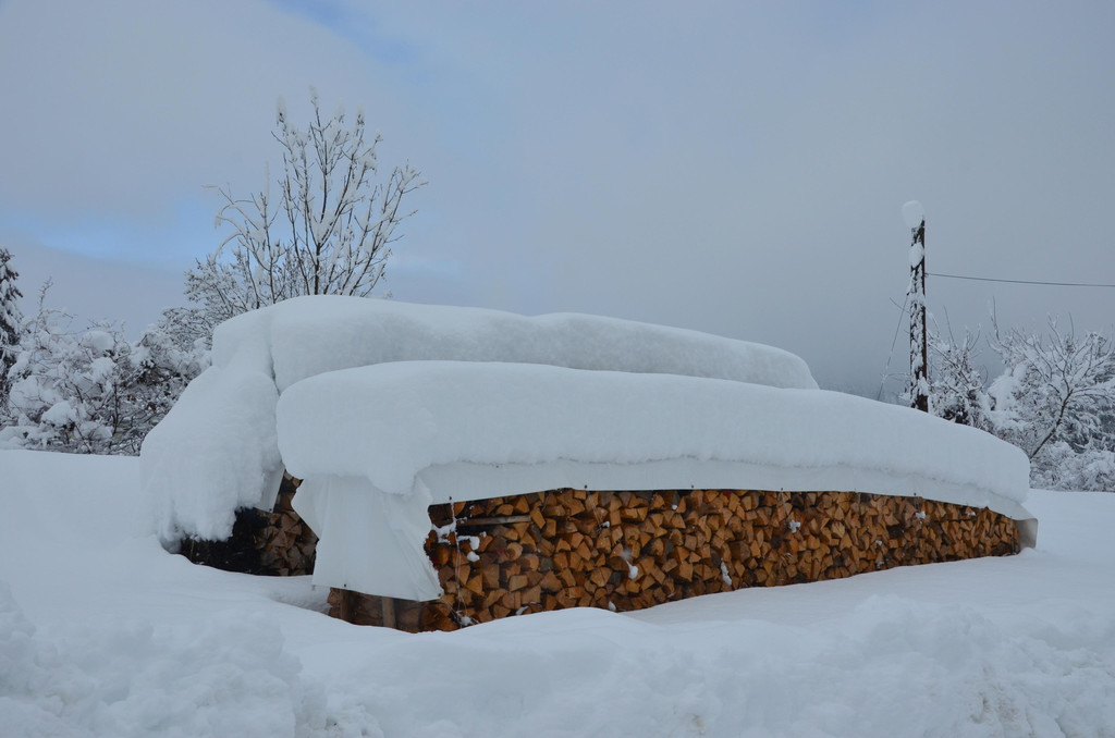 Schneefall 150121_62.JPG
