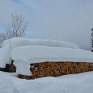 Schneefall 150121_62.JPG