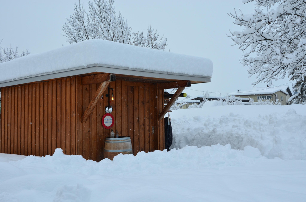 Schneefall 150121_63.JPG