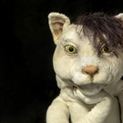 Grand-Hotel-Grimm_Katze.jpg