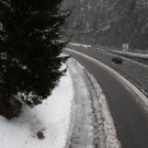 IMG_2849a.jpg