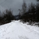 IMG_2863a.jpg