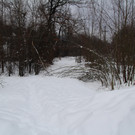 IMG_2861.JPG