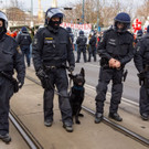 Vienna_at-26.JPG