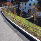 Hangsicherung in Fraxern