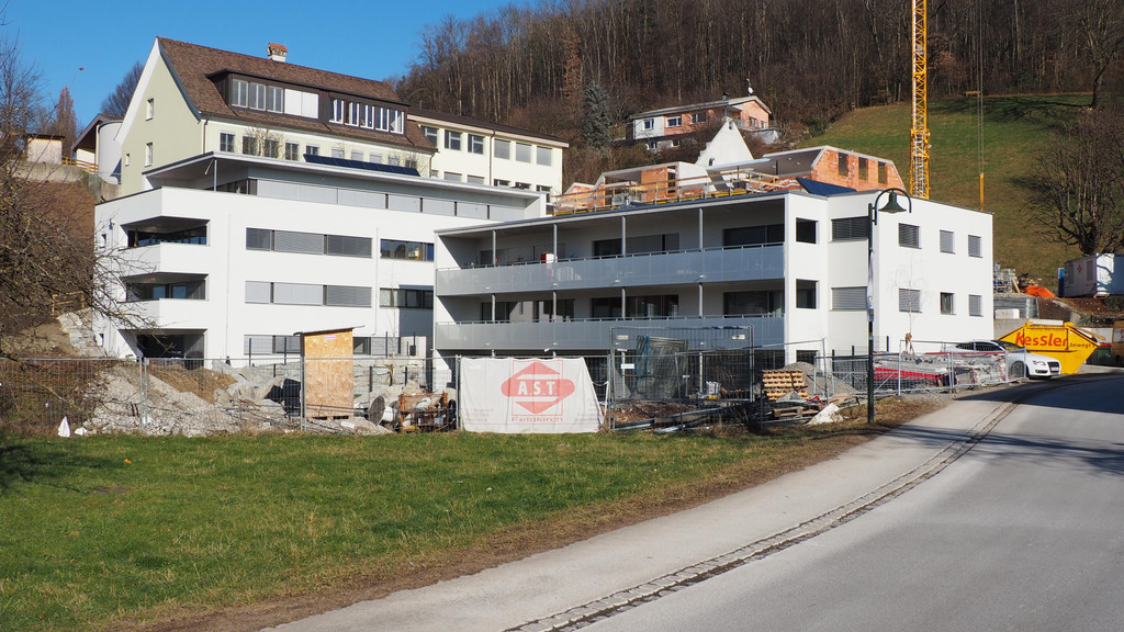 P1117392.JPG