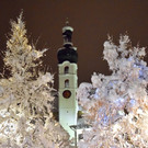 DSC_0314 _3_.jpg