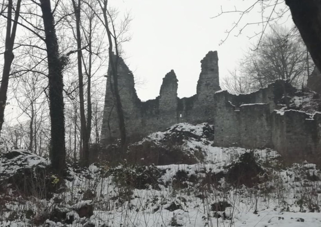 burgruine.jpg