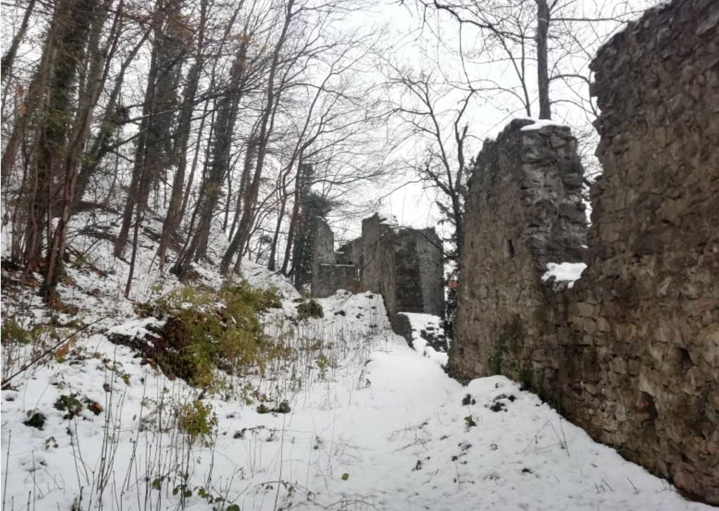 burgruine3.jpg