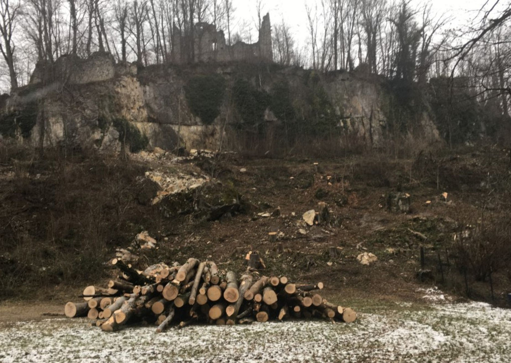 burgruine5.jpg