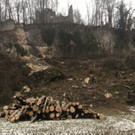 burgruine5.jpg