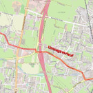 Rankweiler Umzug 2021