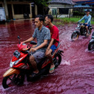 2021-02-06T062923Z_392848417_RC2UML93F8TA_RTRMADP_3_INDONESIA-ENVIRONMENT.JPG