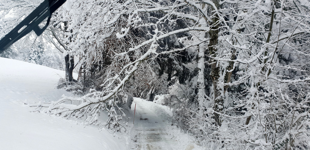 Winterdienst _4_.jpg