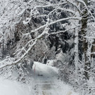 Winterdienst _4_.jpg