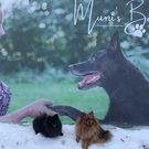vlcsnap-2021-02-12-14h51m52s230.png