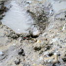 38-IMG_9572.JPG