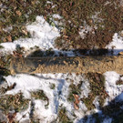 IMG-20210213-WA0002.jpg