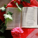 17-IMG_9550.JPG