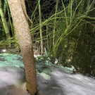 Bild von iOS - 2021-02-13T210901_253.jpg