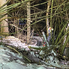 Bild von iOS - 2021-02-13T210831_728.jpg