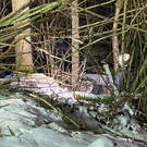 Bild von iOS - 2021-02-13T210825_516.jpg