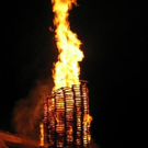 748130.jpg