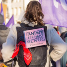 Protest gegen BM heinz Fassmann-23.JPG