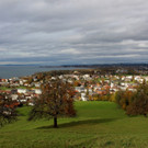 Wohnen in Lochau am Bodensee