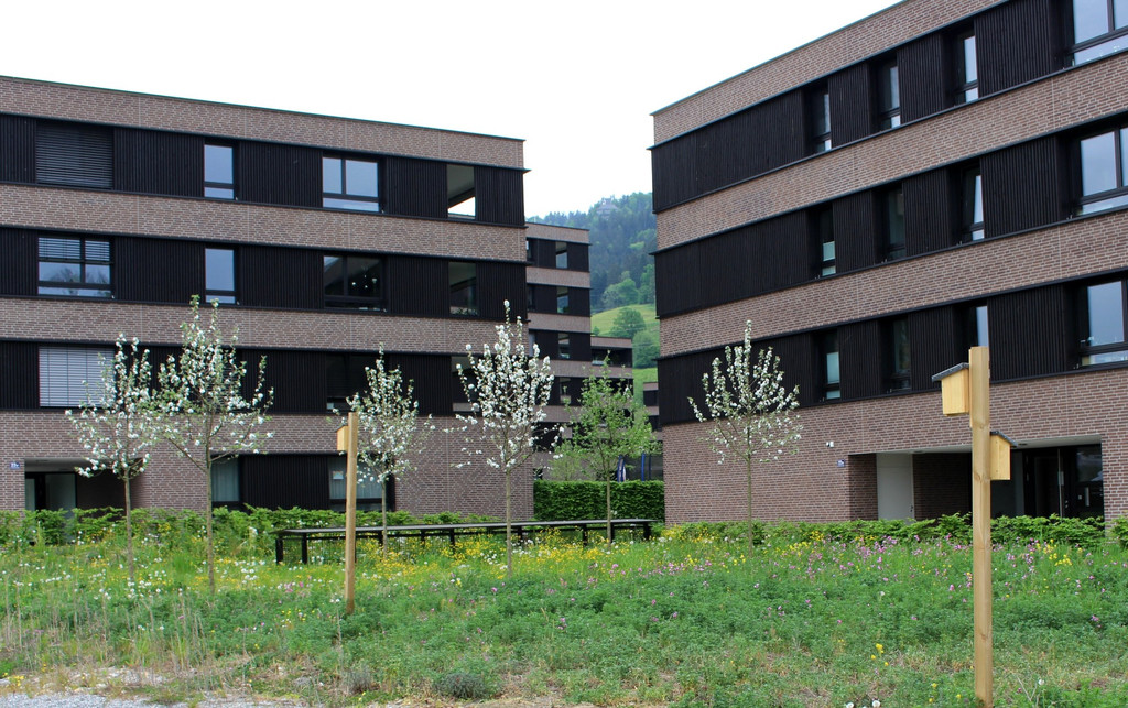 Lochau C Seedomizil auf dem Ruppareal 200 Wohnungen _3_.JPG