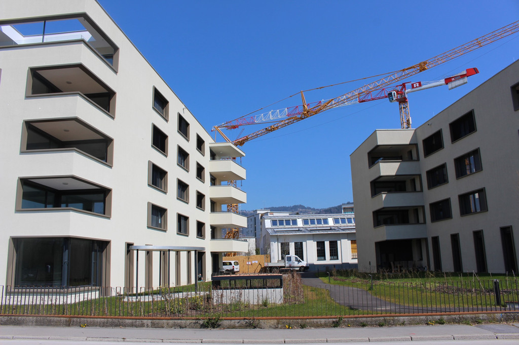 Lochau D B__umlequartier Diem Areal Februar 2021 _2_.JPG