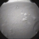 AFP_93C2H9.jpg