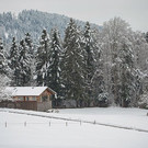 0_T1A5909.jpg