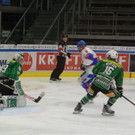 DSC08345.JPG