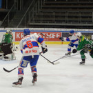 DSC08348.JPG