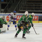 DSC08349.JPG