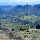 Feurstein Kilian TL Gran Canaria 04.jpg