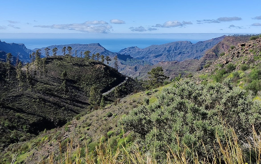 Feurstein Kilian TL Gran Canaria 05.jpg