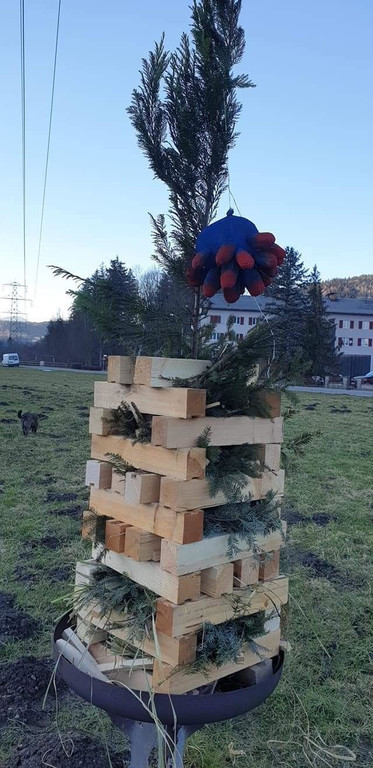 facebook_1613929403770_6769310553953440571_hoch.jpg