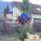 facebook_sonnenheim2_hoch.jpg
