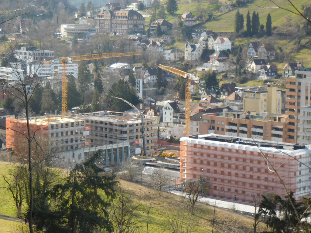 DSCI5530.JPG
