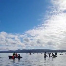 2021-02-23T045839Z_685532807_RC24YL9J47I5_RTRMADP_3_NEWZEALAND-WHALES-STRANDING.JPG